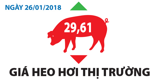 Giá heo hơi thị trường - Ngày 26/01/2018