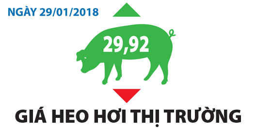 Giá heo hơi thị trường - Ngày 29/01/2018