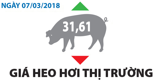 Giá heo hơi thị trường - Ngày 07/03/2018