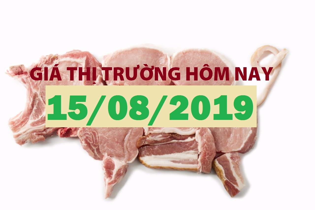 Anova Feed – Các công ty chăn nuôi lớn tiếp tục điều chỉnh tăng giá heo- Giá thị trường ngày 15/08