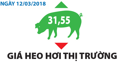 Giá heo hơi thị trường - Ngày 12/03/2018