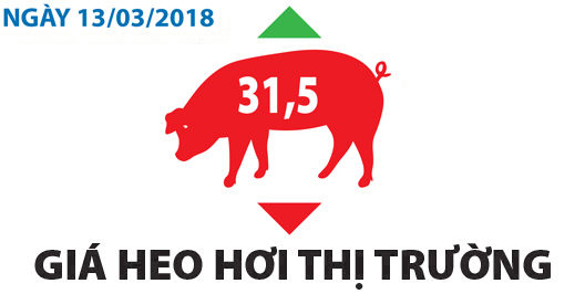 Giá heo hơi thị trường - Ngày 13/03/2018