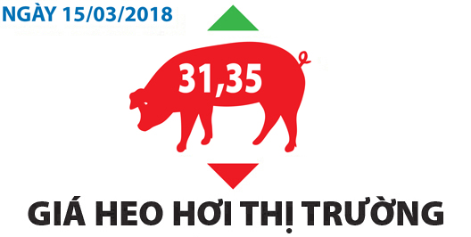 Giá heo hơi thị trường - Ngày 15/03/2018