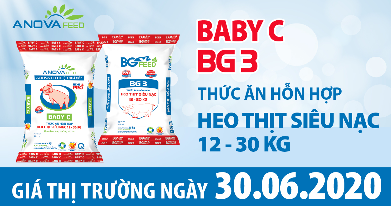 Anova Feed - Giá heo hơi hôm nay 30/6 bỗng đứng giá trên 3 miền, dịch tả Heo châu Phi vẫn vẫn chưa được kiểm soát.