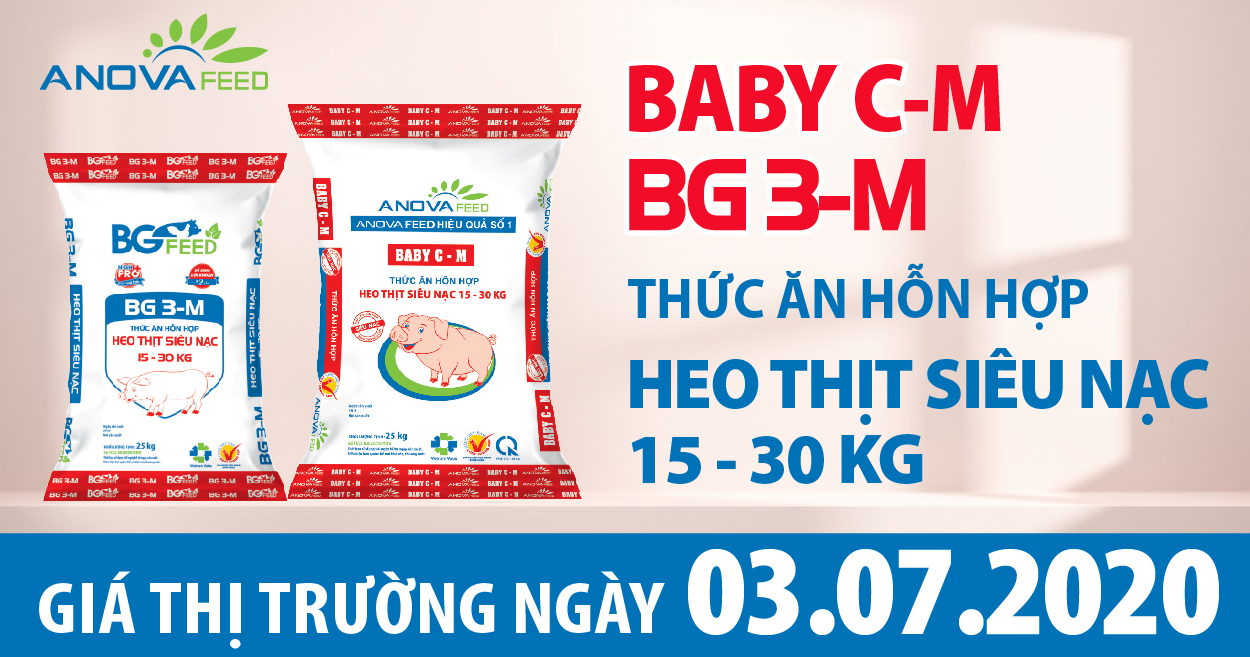 Anova Feed - Giá heo hơi hôm nay 03/07 tăng 1.000 - 3.000 đồng/kg ở một vài địa phương, dịch tả heo Châu Phi vẫn còn diễn biến phức tạp.