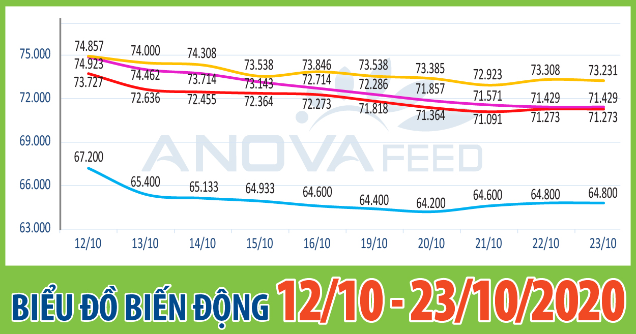 📈ANOVA FEED - BIỂU ĐỒ BIẾN ĐỘNG GIÁ THỊ TRƯỜNG CHĂN NUÔI 2 TUẦN GẦN NHẤT TỪ 12/10 - 23/10/2020📈