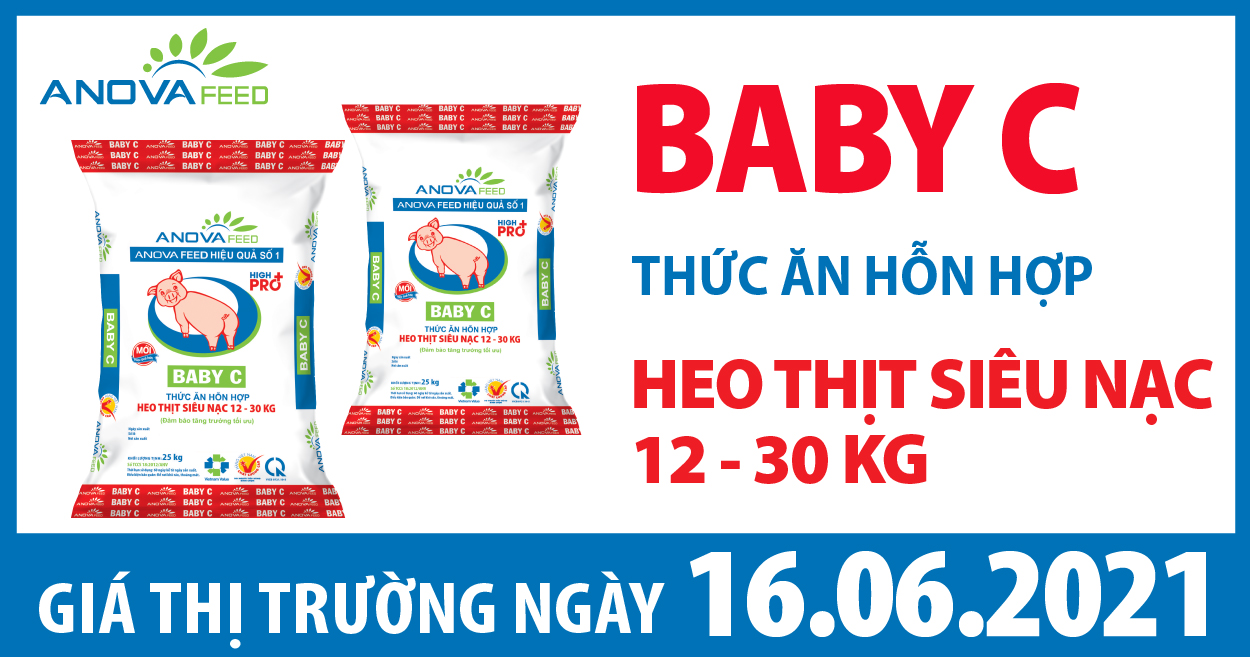 Anova Feed - Giá heo hơi hôm nay 16/6 tăng giảm trái chiều 3 miền