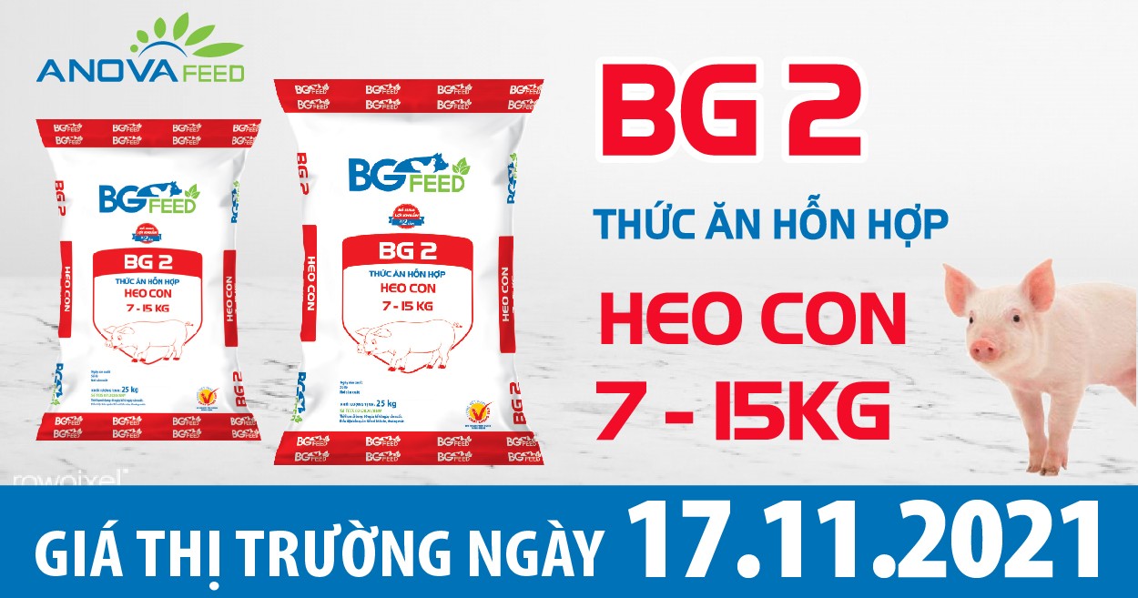 Anova Feed - Giá heo hơi ngày 17/11/2021 tăng giảm trái chiều.