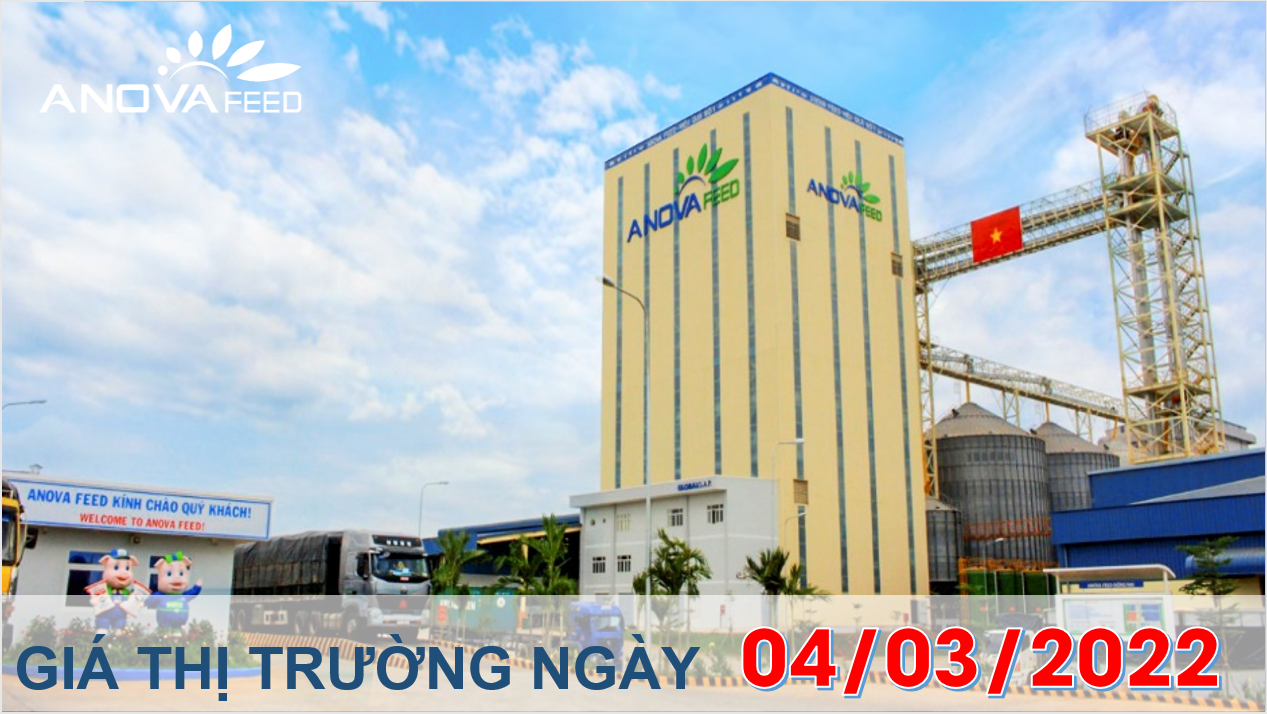 Anova Feed - Giá heo hơi ngày 04/03/2022 xuống nhẹ 1.000 đồng/kg.