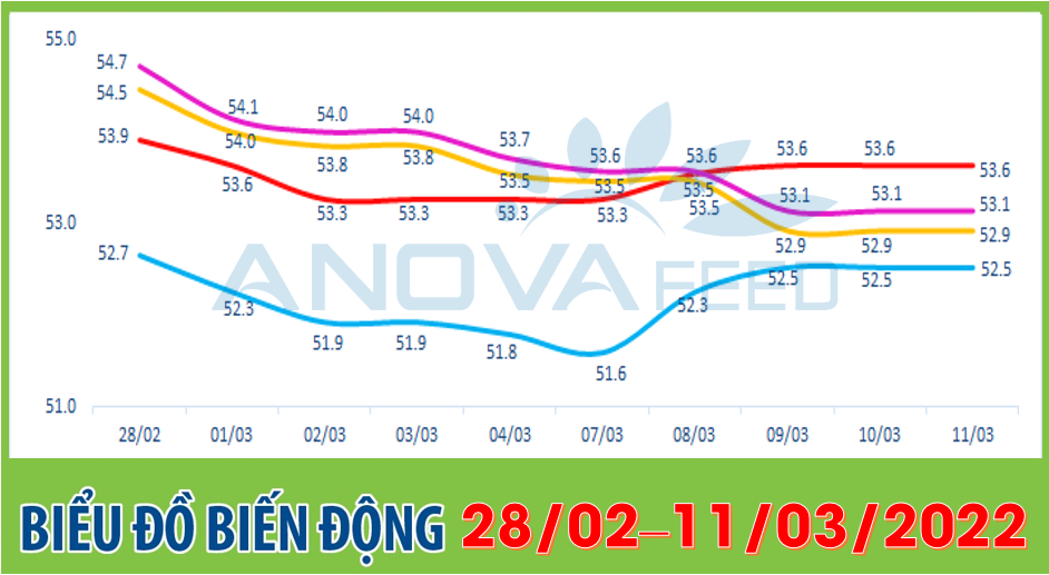 Anova Feed - Biểu đồ biến động giá thị trường chăn nuôi 2 tuần gần nhất từ 28/02 - 11/03/2022