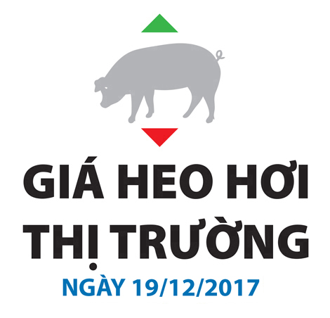 Giá heo hơi thị trường - Ngày 19/12/2017