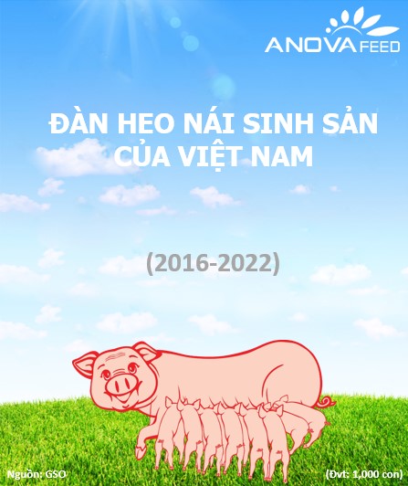 Đàn heo nái sinh sản của Việt Nam 2016- 2022 có nhiều biến động.