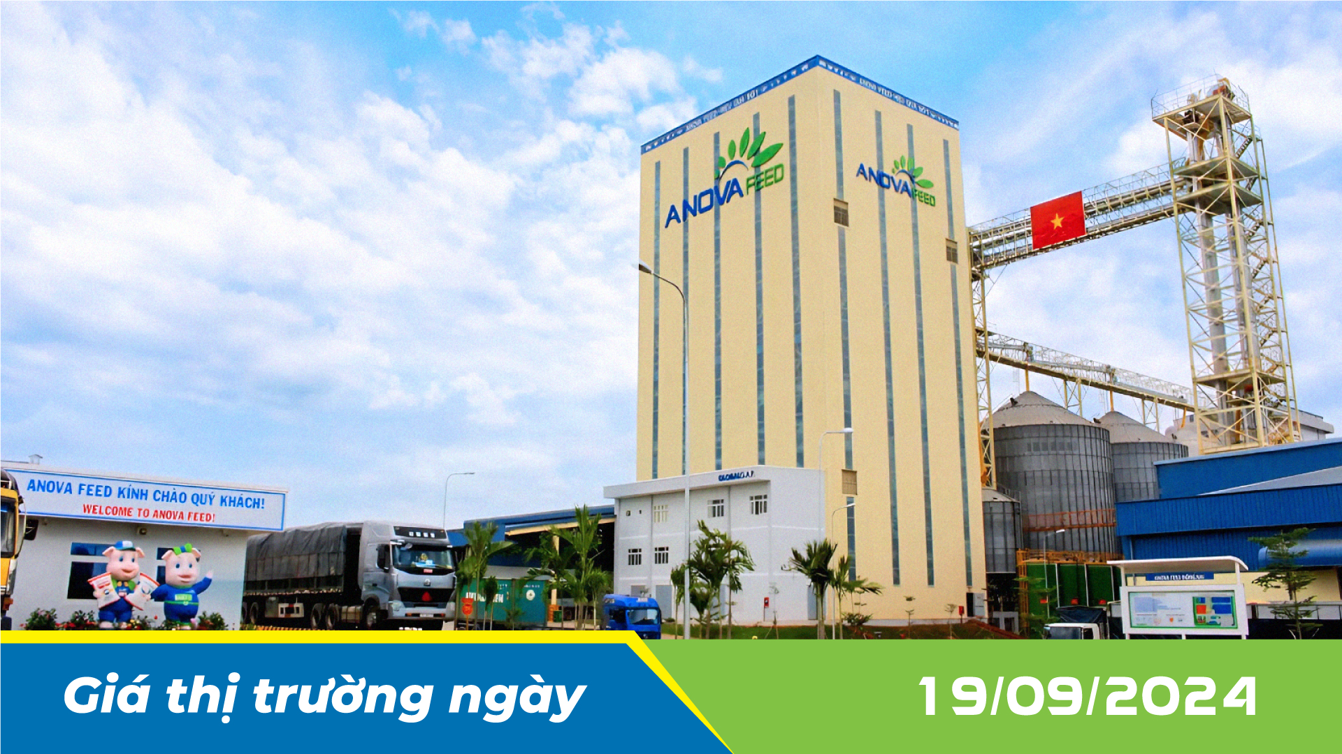 ANOVA FEED - GIÁ HEO HƠI NGÀY 19/09, TIẾP TỤC TĂNG